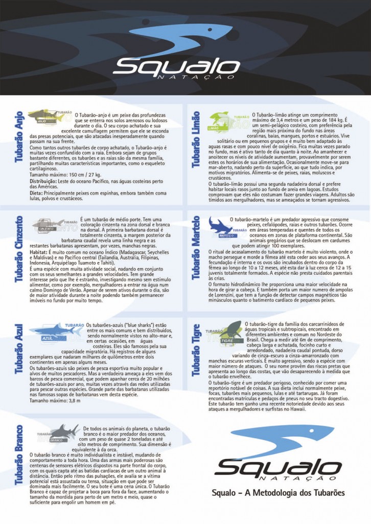 Squalo-Banner-tubarões